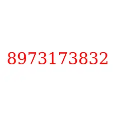 8973173832