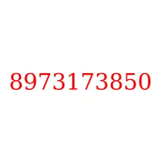 8973173850