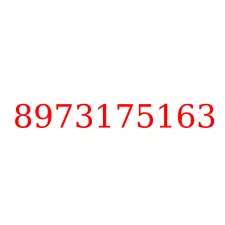 8973175163