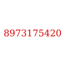 8973175420