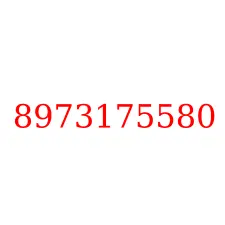 8973175580