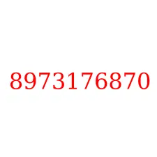8973176870