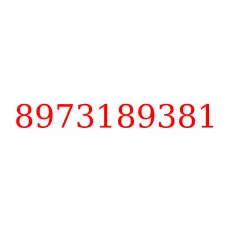 8973189381
