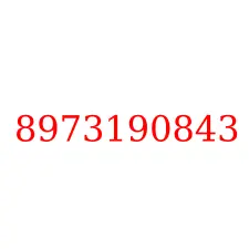 8973190843