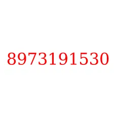 8973191530