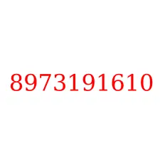 8973191610