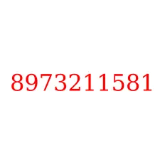 8973211581