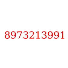 8973213991