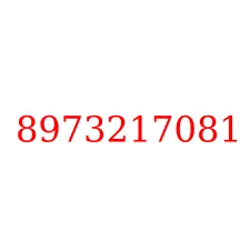 8973217081