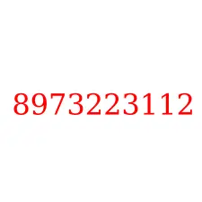 8973223112