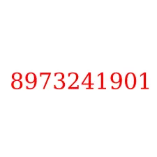 8973241901