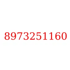 8973251160