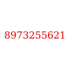 8973255621