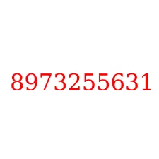8973255631