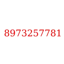 8973257781