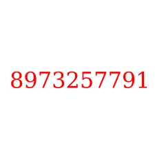 8973257791