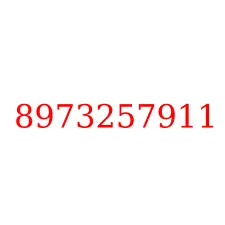 8973257911