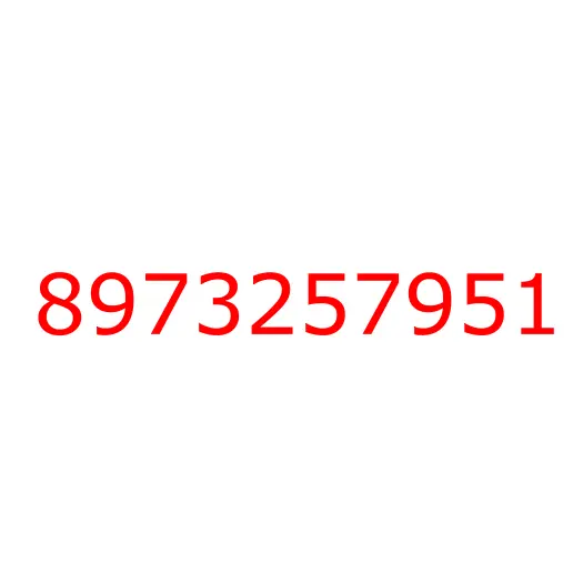 8973257951 04.930 PIPE; VAC,ENG SIDE, 8973257951