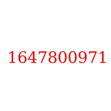 1647800971
