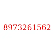 8973261562