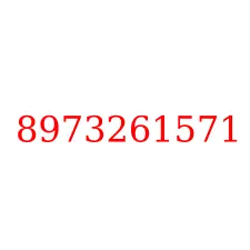 8973261571