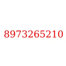 8973265210