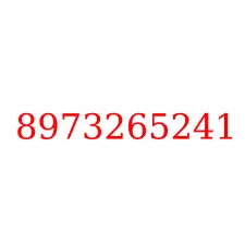 8973265241