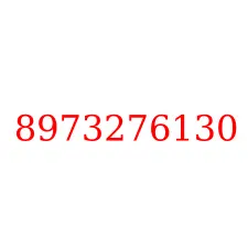 8973276130