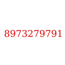8973279791
