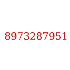 8973287951