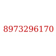 8973296170