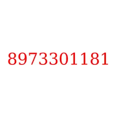 8973301181