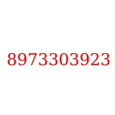 8973303923