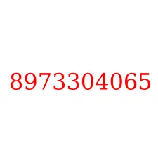 8973304065