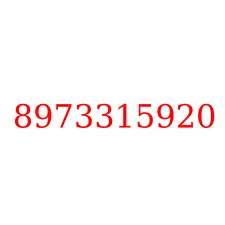 8973315920