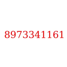 8973341161
