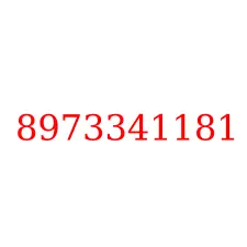 8973341181