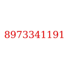 8973341191