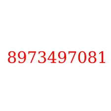 8973497081