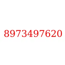 8973497620