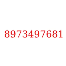 8973497681