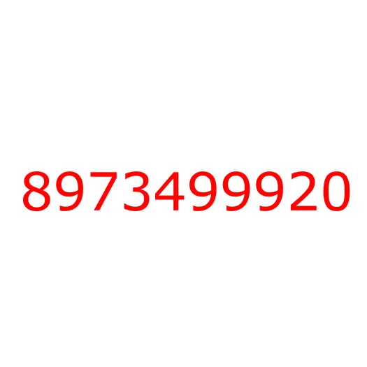 8973499920 COVER; DOOR LOCK, 8973499920