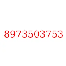 8973503753