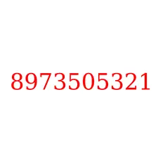 8973505321