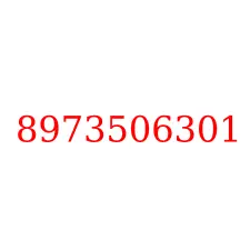 8973506301