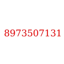 8973507131