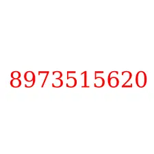 8973515620