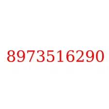 8973516290
