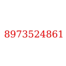 8973524861