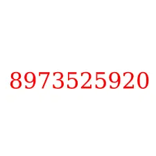 8973525920